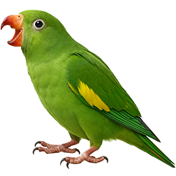 Yellow-chevroned Parakeet